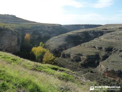 Hoces del Río Duratón - Villa y Tierra de Sepúlveda;reto senderismo